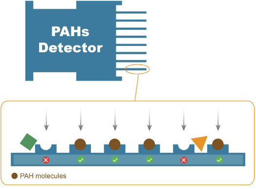 Different polymers coated on cantilevers to detects various PAHs in air