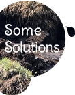 Some Solutions section