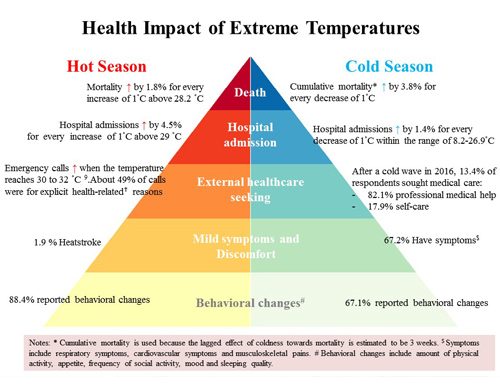 Health Impact Pyramid (Click to enlarge the image)