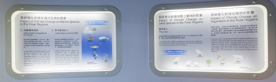 Exhibition panels in the Jockey Club Museum of Climate Change, explaining how climate change is affecting the Polar ecosystems (click to zoom)