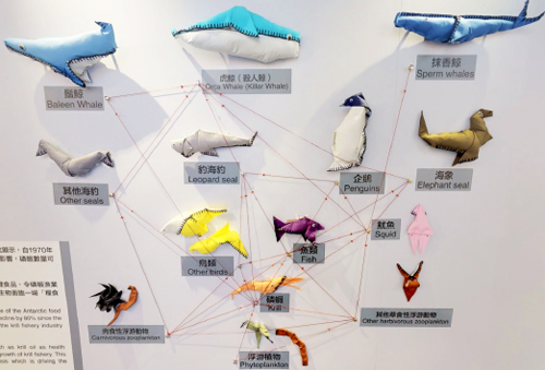 賽馬會氣候變化博物館「南緯60°以南」展覽所展示的南極食物網
