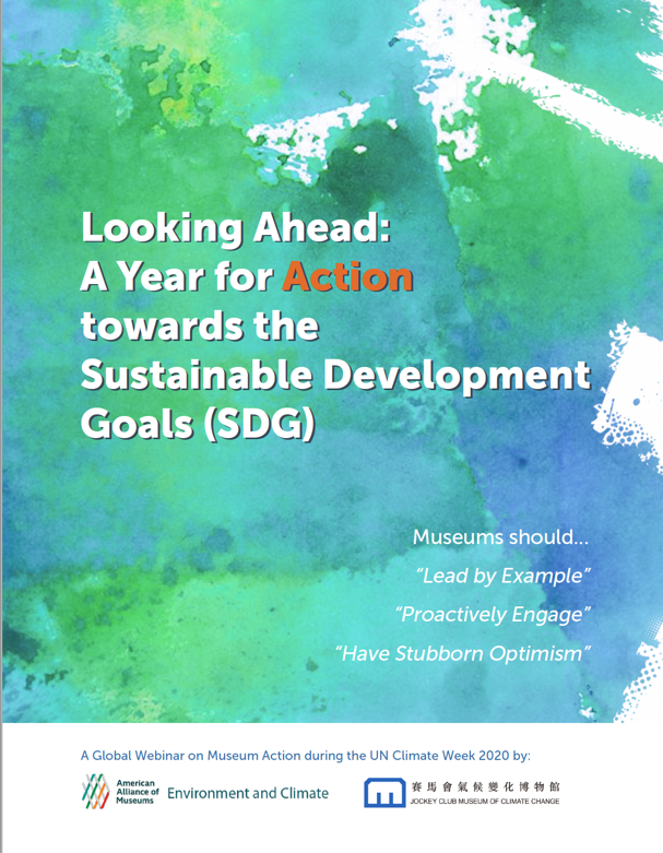 Looking Ahead A Year for Action towards the Sustainable Development Goals SDG Booklet