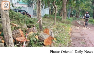 政府園林廢物僅3%回收　去年逾萬公噸送堆填區 (Oriental Daily News - 20180627)