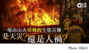 森林大火燒不盡　生態災難已迫在眉睫 (HK01 - 20200131)