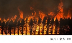 山火燒毀21%森林　研究指與氣候變化有關 (東方日報 - 20200225)