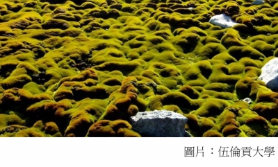 Climate change kills Antarctica&#039;s ancient moss beds (BBC - 20180925)