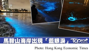 馬鞍山海岸出現「藍眼淚」　美麗奇景背後的海洋污染真相 (Hong Kong Economic Times - 20190310)