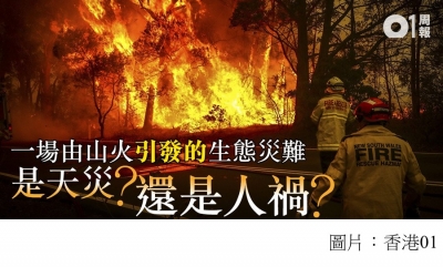 森林大火燒不盡　生態災難已迫在眉睫 (香港01 - 20200131)