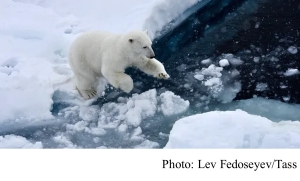 Ice-free Arctic summers now very likely even with climate action (The Guardian - 20200421)