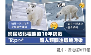10 Years Challenge全球熱玩　10年對比圖揭北極熊求生悲歌 (香港經濟日報 - 20190117)