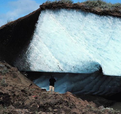 Permafrost is the soil that is frozen for more than two consecutive years.