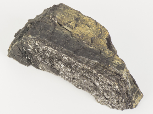 這是從挪威斯瓦爾巴群島採集得來的煤炭樣本，現時展示於賽馬會氣候變化博物館。