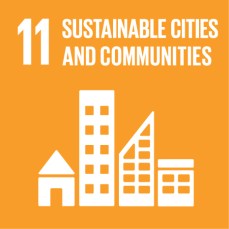 E SDG Icons 11