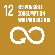 E SDG Icons 12