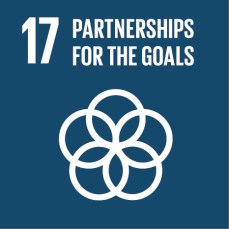E SDG Icons 17