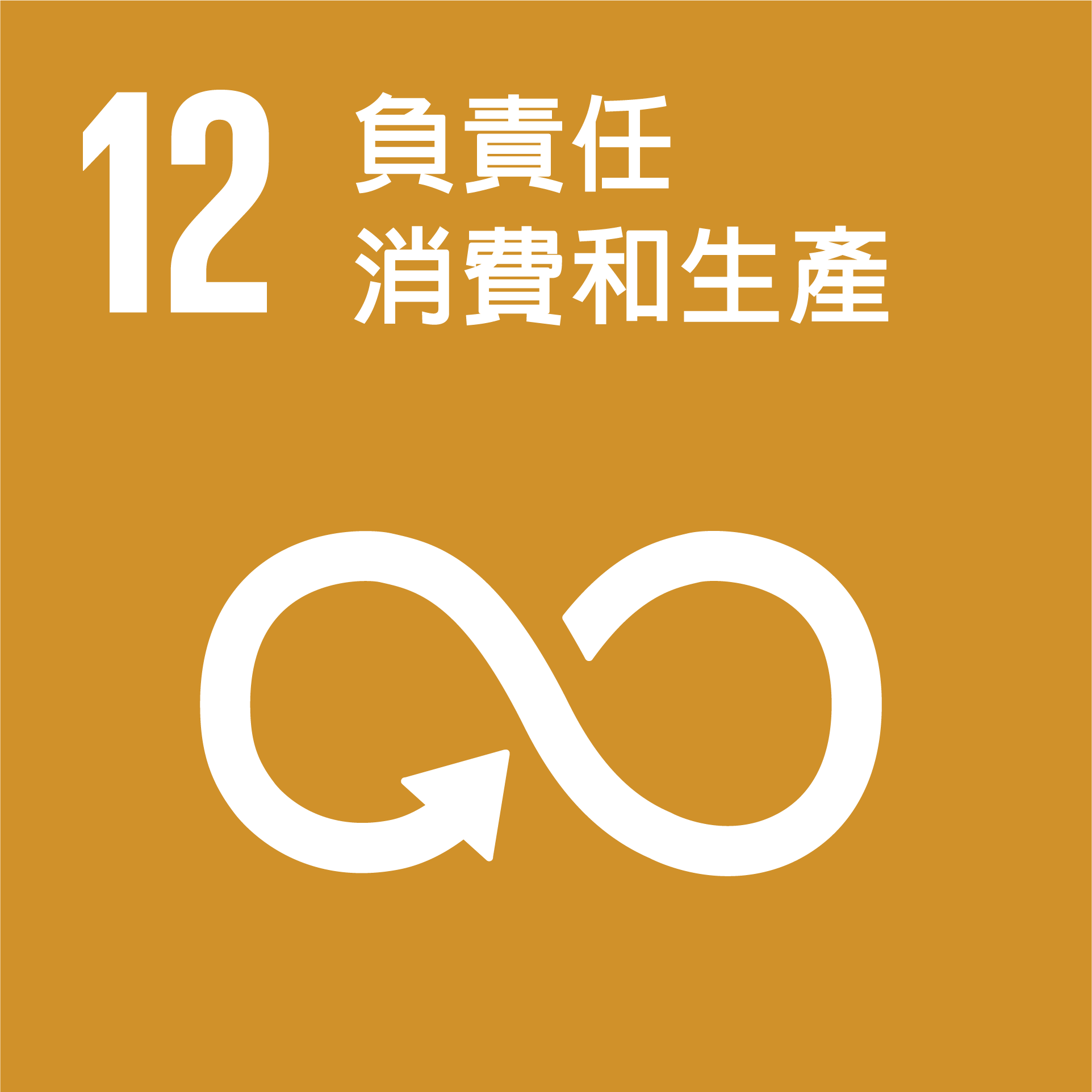 SDG vertical logo icons Chi 12