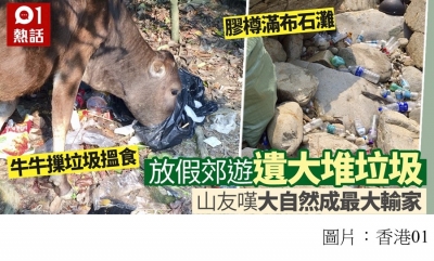 假日遊塔門遺大批垃圾　山友自發清灘嘆遊人無走塑意識害死大自然 (香港01 - 20200412)