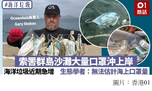 大批口罩被沖上索罟群島沙灘　生態學者：從陸地到海上只花6周！(香港01 - 20200301)
