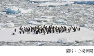 研究：即使達《巴黎協議》減排目標　南極融冰仍致全球海水水位漲 2.5 米 (立場新聞 - 20200924)