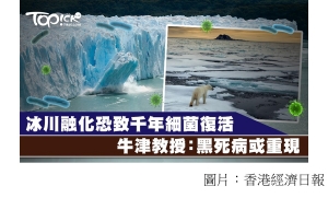 全球暖化致冰層下千年細菌「復活」　牛津教授：或令「黑死病」重現 (香港經濟日報 - 20181019)