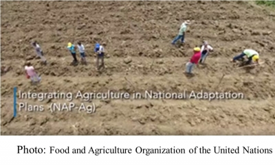 Integrating agriculture in national adaptation plans