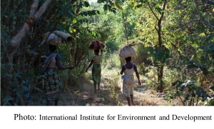 International Institute for Environment and Development (International Institute for Environment and Development - 201808)