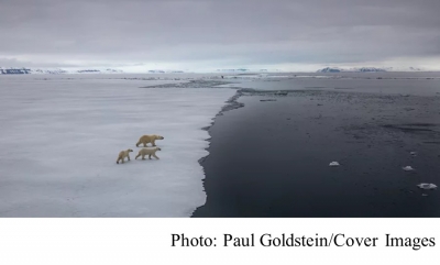 Domino-effect of climate events could push Earth into a ‘hothouse’ state (The Guardian - 20180806)