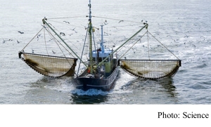 Our growing taste for shrimp is bad news for climate change (Science - 20180402)