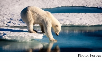 4 Ways To Bet On Climate Change&#039;s $291B Economic Destruction (Forbes - 20181202)