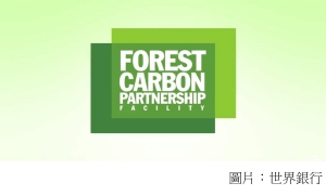 A Decade For Forests and Climate: The Forest Carbon Partnership Facility