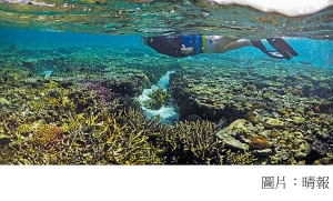 氣候變遷威脅自然遺產 大堡礁首列「瀕危」(晴報 - 20210122)