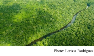 &#039;Make EU trade with Brazil sustainable&#039; (BBC - 20190425)