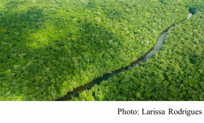 &#039;Make EU trade with Brazil sustainable&#039; (BBC - 20190425)