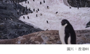 南極海洋保護區協議再流產　中國被指是主因 (香港01 - 20191104)