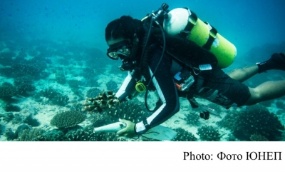 Dive in virtually to protect our oceans (UNEP - 20200724)