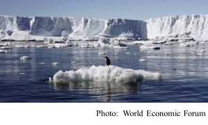 Antarctic seas are full of life and now we are able to identify them (World Economic Forum - 20180806)