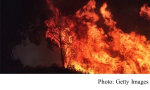 Climate change: Australia fires will be &#039;normal&#039; in 3C world (BBC - 20200114)