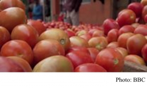Climate change: Why are tomato prices in Africa increasing? (BBC - 20200226)