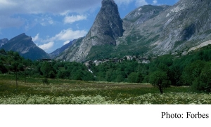 Mountaintops Are In Bloom Thanks To Climate Change, But There Could Be Consequences (20180404 - Forbes)