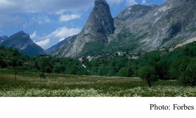 Mountaintops Are In Bloom Thanks To Climate Change, But There Could Be Consequences (20180404 - Forbes)