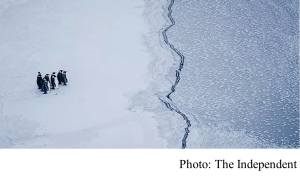 Almost all the ice covering the Bering Sea has melted, throwing Alaska communities into disarray (The Independent - 20180506)