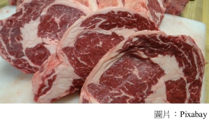 減緩氣候變遷 研究：減少肉類消費 (中央廣播電臺 - 20181011)