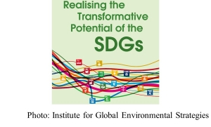 Realising the Transformative Potential of the SDGs