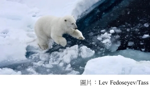 Ice-free Arctic summers now very likely even with climate action (衛報 - 20200421)