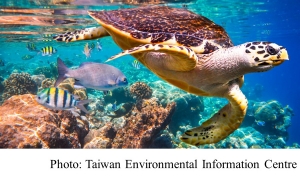 國際級報告：人類的生物多樣性安全網快要撐破，現在改變還來得及 (Taiwan Environmental Information Centre - 20190507)