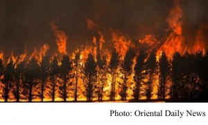 山火燒毀21%森林　研究指與氣候變化有關 (Oriental Daily News - 20200225)