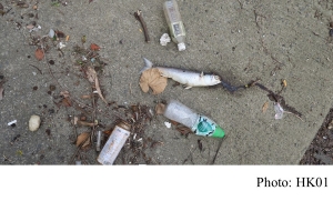 城門河每年沖1,750萬件塑膠垃圾出海　恐污染本地海鮮 (HK01 - 20181018)