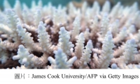 Great Barrier Reef outlook 'critical' as climate change called number one threat to world heritage (衛報 - 20201202)