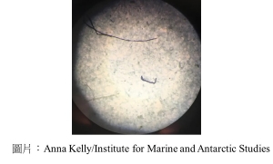 Microplastics found for first time in Antarctic ice where krill source food (衛報 - 20200422)