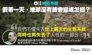 【保衛亞馬遜】破壞雨林後果嚴重　釋放二氧化碳排放量相當於... (HK01 - 20190606)